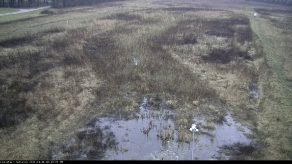 Cell 1_24-03-08_18-40-48-16