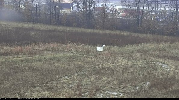 Cell 2 to 3_24-03-08_13-06-34-29