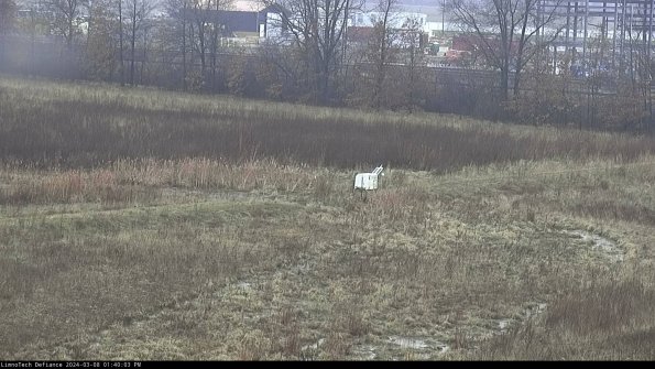 Cell 2 to 3_24-03-08_13-40-04-24