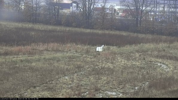 Cell 2 to 3_24-03-08_14-13-33-19