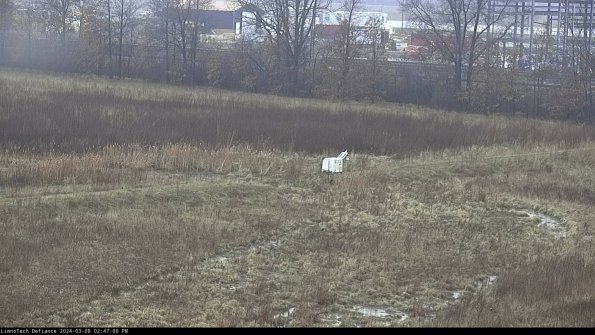 Cell 2 to 3_24-03-08_14-47-01-31