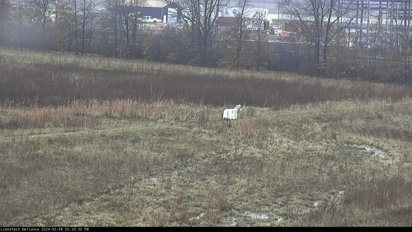 Cell 2 to 3_24-03-08_15-20-31-33