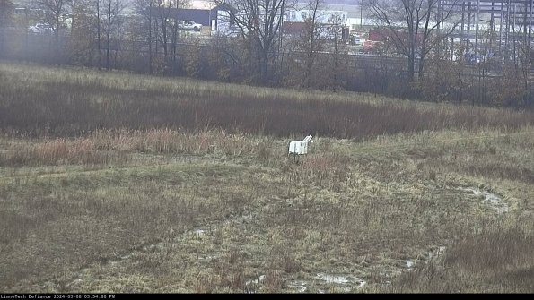 Cell 2 to 3_24-03-08_15-54-01-25