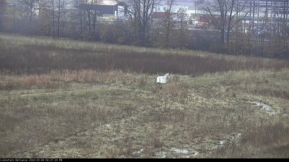 Cell 2 to 3_24-03-08_16-27-30-36