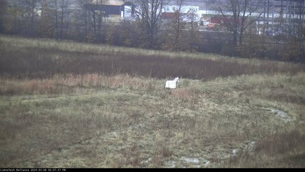 Cell 2 to 3_24-03-08_18-07-58-31