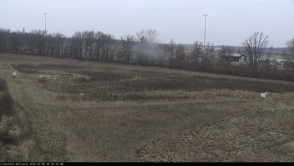 Cell 2_24-03-08_08-38-25-15