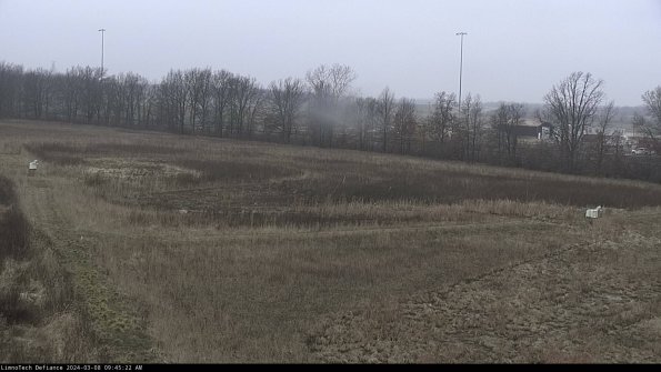 Cell 2_24-03-08_09-45-23-19