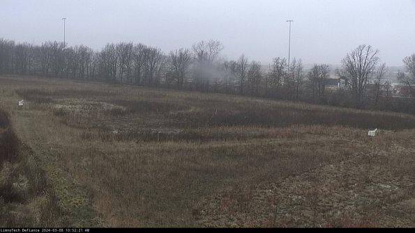 Cell 2_24-03-08_10-52-22-15