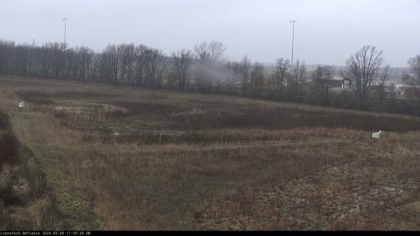 Cell 2_24-03-08_11-59-21-18