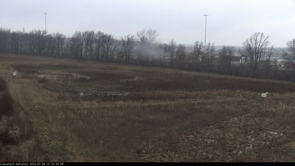 Cell 2_24-03-08_12-32-50-16