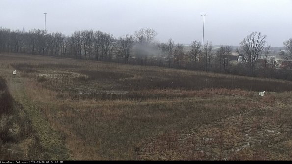 Cell 2_24-03-08_13-06-21-21