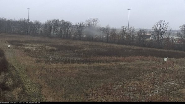 Cell 2_24-03-08_13-39-51-20