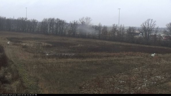 Cell 2_24-03-08_14-46-48-16