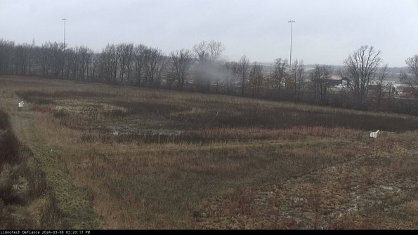 Cell 2_24-03-08_15-20-18-21