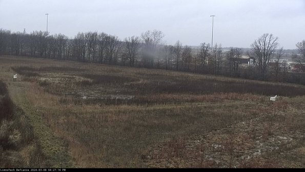 Cell 2_24-03-08_16-27-17-25