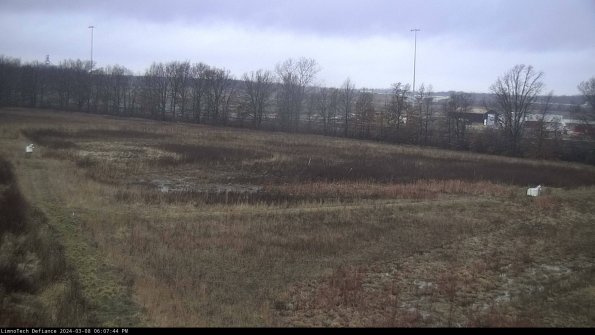 Cell 2_24-03-08_18-07-45-17