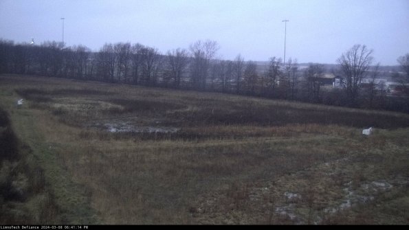 Cell 2_24-03-08_18-41-15-18