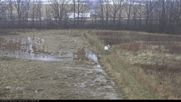 Cell 3 to 4_24-03-08_12-00-03-16