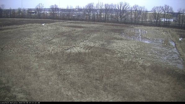 Cell 3_24-03-08_07-31-52-38