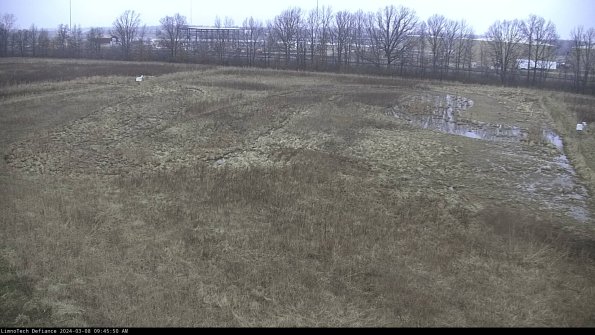 Cell 3_24-03-08_09-45-51-15