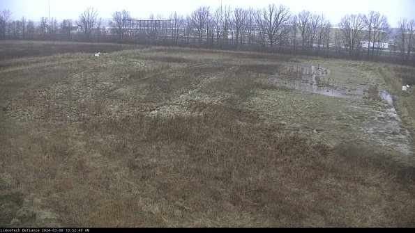 Cell 3_24-03-08_10-52-50-14