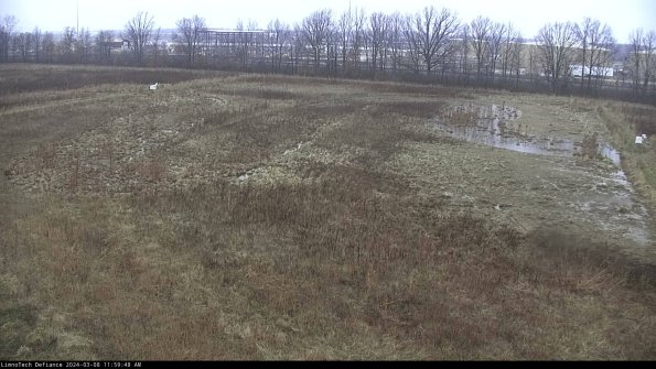 Cell 3_24-03-08_11-59-49-14