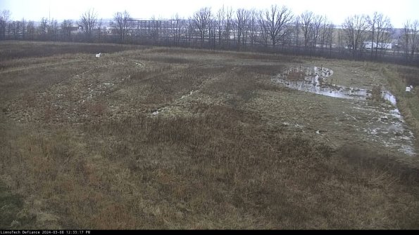 Cell 3_24-03-08_12-33-18-12