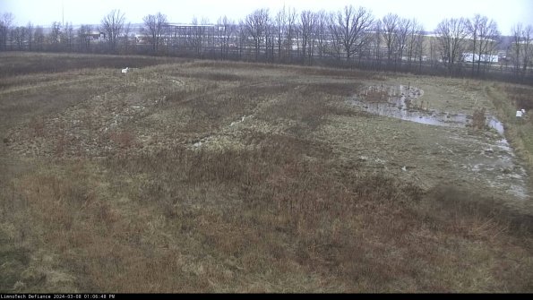 Cell 3_24-03-08_13-06-49-14