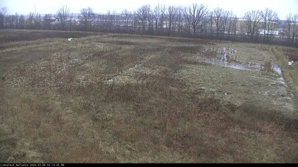 Cell 3_24-03-08_14-13-47-41