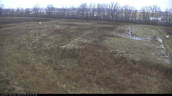 Cell 3_24-03-08_14-47-16-16