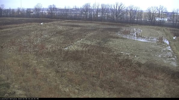 Cell 3_24-03-08_15-20-46-14