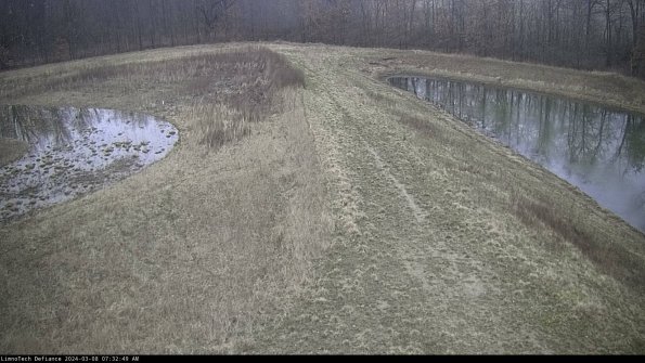 Cell 4 to Basin_24-03-08_07-32-50-14