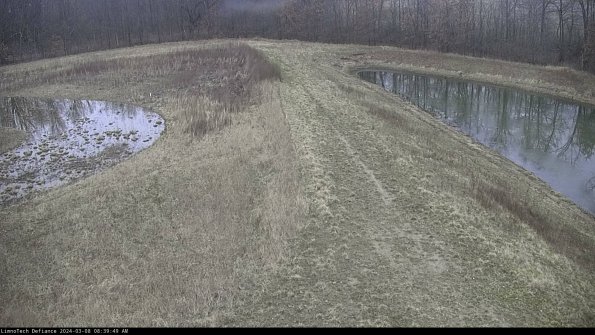 Cell 4 to Basin_24-03-08_08-39-50-17