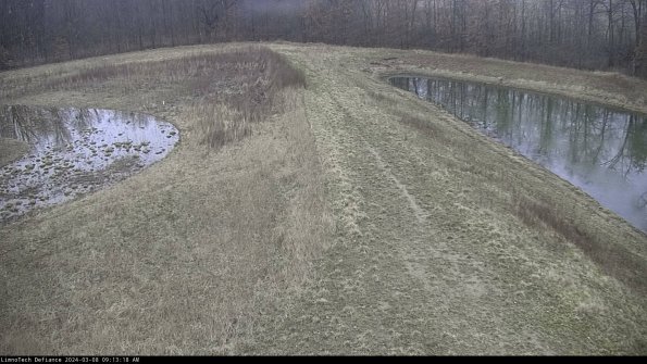 Cell 4 to Basin_24-03-08_09-13-19-15