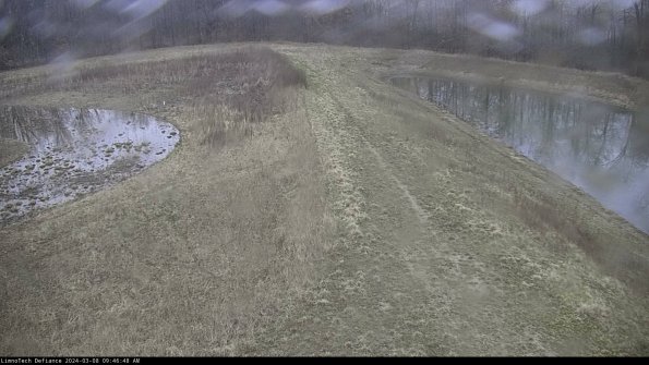 Cell 4 to Basin_24-03-08_09-46-49-17