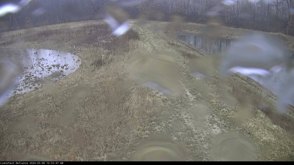 Cell 4 to Basin_24-03-08_10-53-48-14