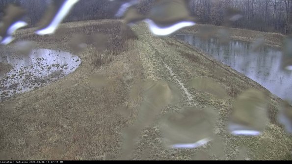 Cell 4 to Basin_24-03-08_11-27-18-12