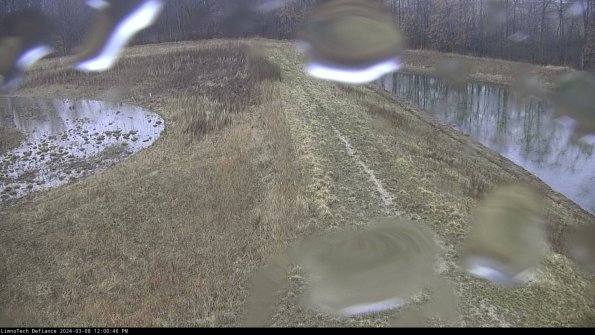 Cell 4 to Basin_24-03-08_12-00-47-17