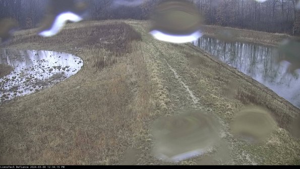 Cell 4 to Basin_24-03-08_12-34-16-15