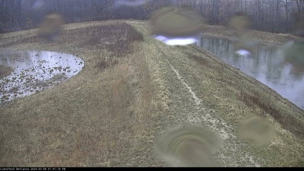 Cell 4 to Basin_24-03-08_13-41-17-15