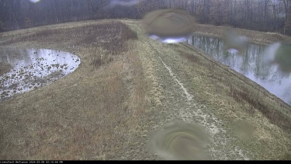 Cell 4 to Basin_24-03-08_14-14-45-13