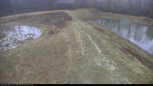 Cell 4 to Basin_24-03-08_14-48-14-15