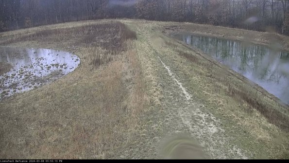 Cell 4 to Basin_24-03-08_15-55-14-15