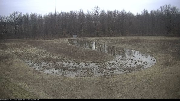 Cell 4_24-03-08_07-32-20-14