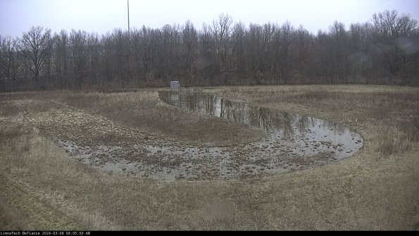 Cell 4_24-03-08_08-05-51-12