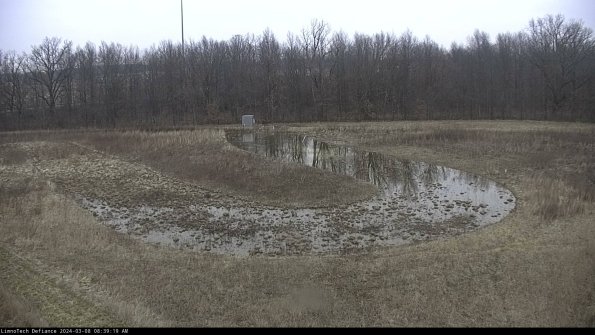 Cell 4_24-03-08_08-39-20-14