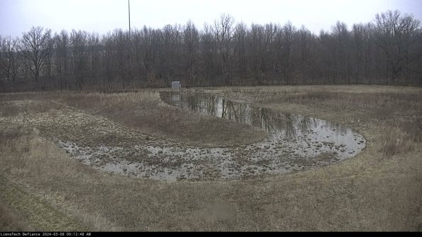 Cell 4_24-03-08_09-12-49-16