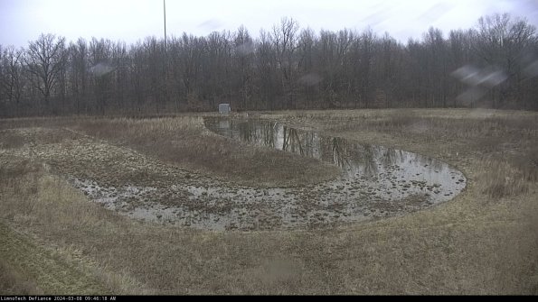 Cell 4_24-03-08_09-46-19-14