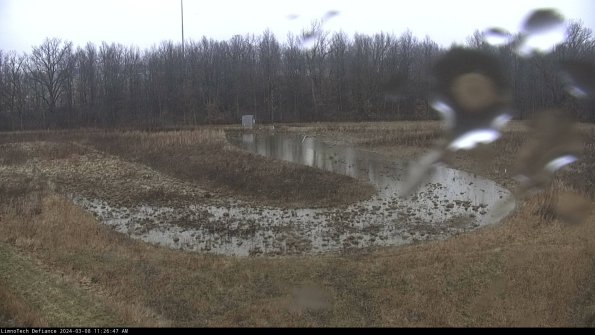 Cell 4_24-03-08_11-26-48-12