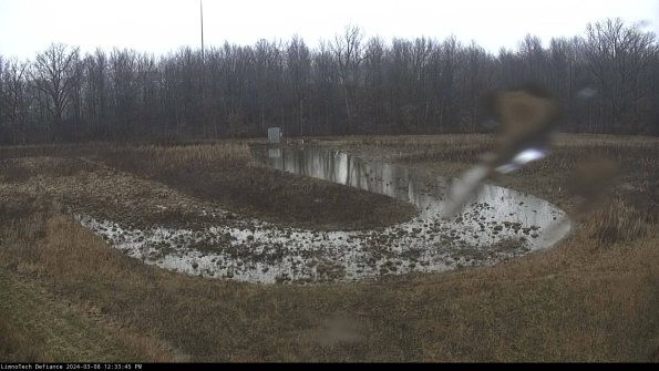 Cell 4_24-03-08_12-33-46-15